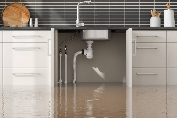 Best Ceiling and Wall Water Damage Repair in USA